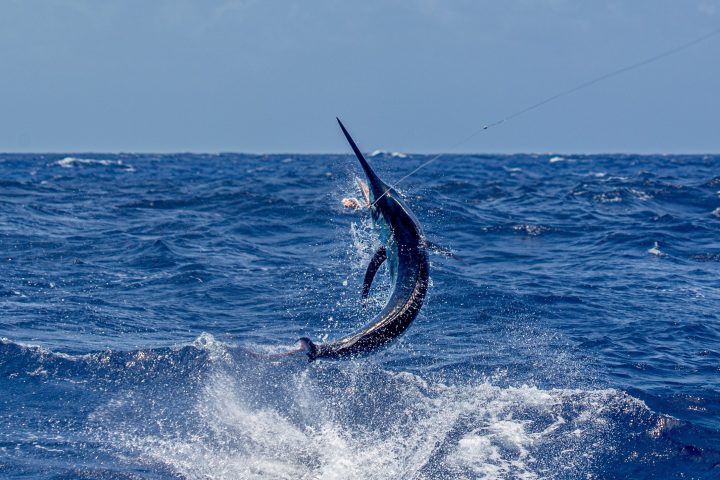 a man flying through the air while riding a wave in the ocean
