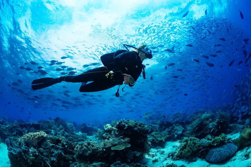 a man swimming in the water